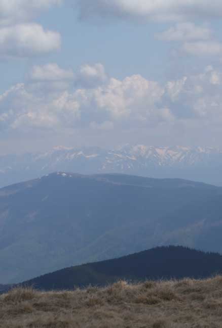 Carpati.org