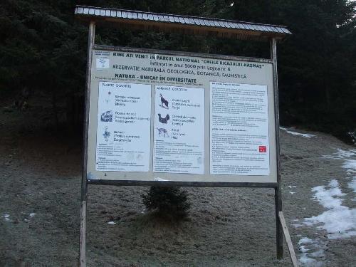Carpati.org