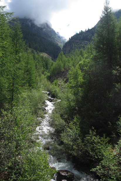 /Alpi/1.jpg
