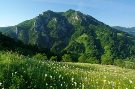 /Locvei/1-1-imgp3986.jpg