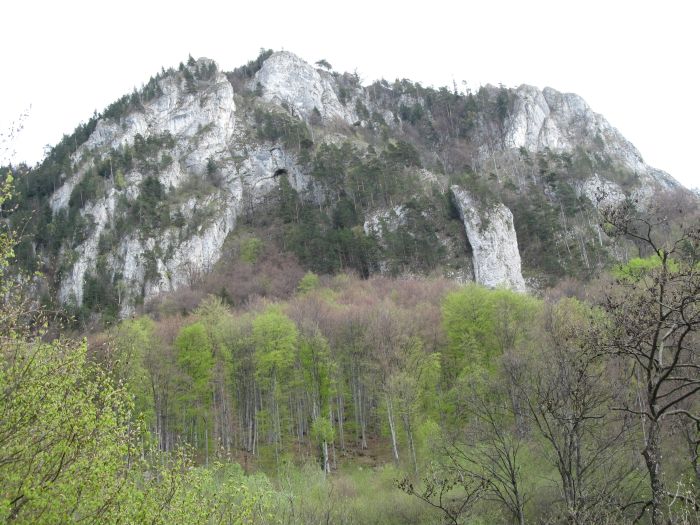 /Piatra/img_2852.jpg