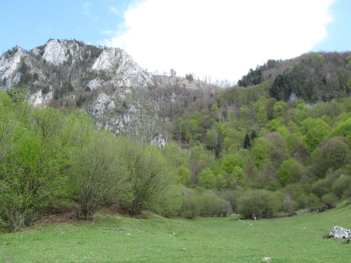 /Piatra/img_2854.jpg