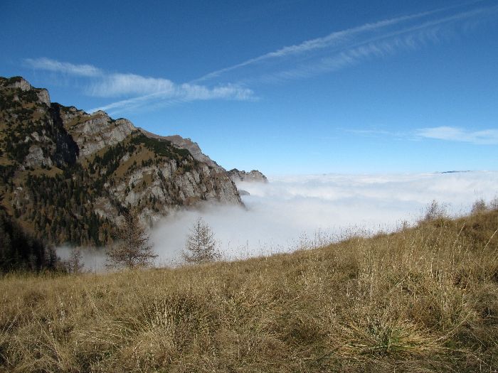 /Vanturis/img_4514.jpg