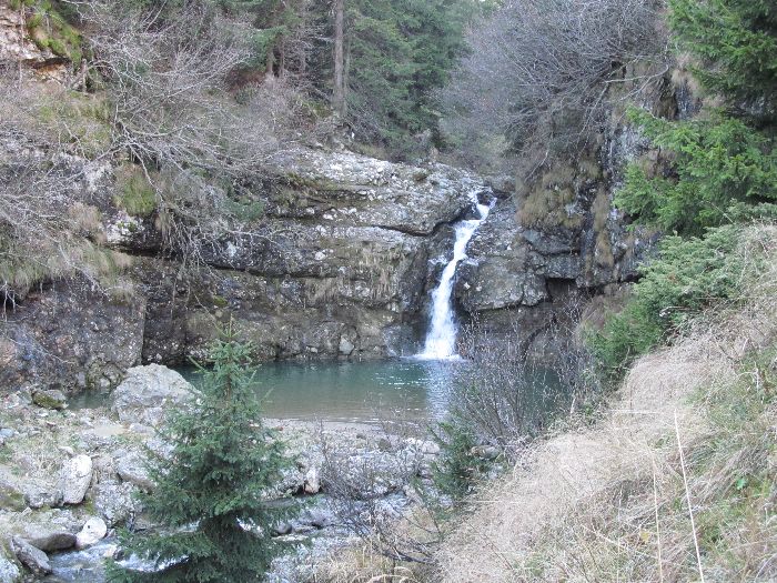 /Vanturis/img_4575.jpg