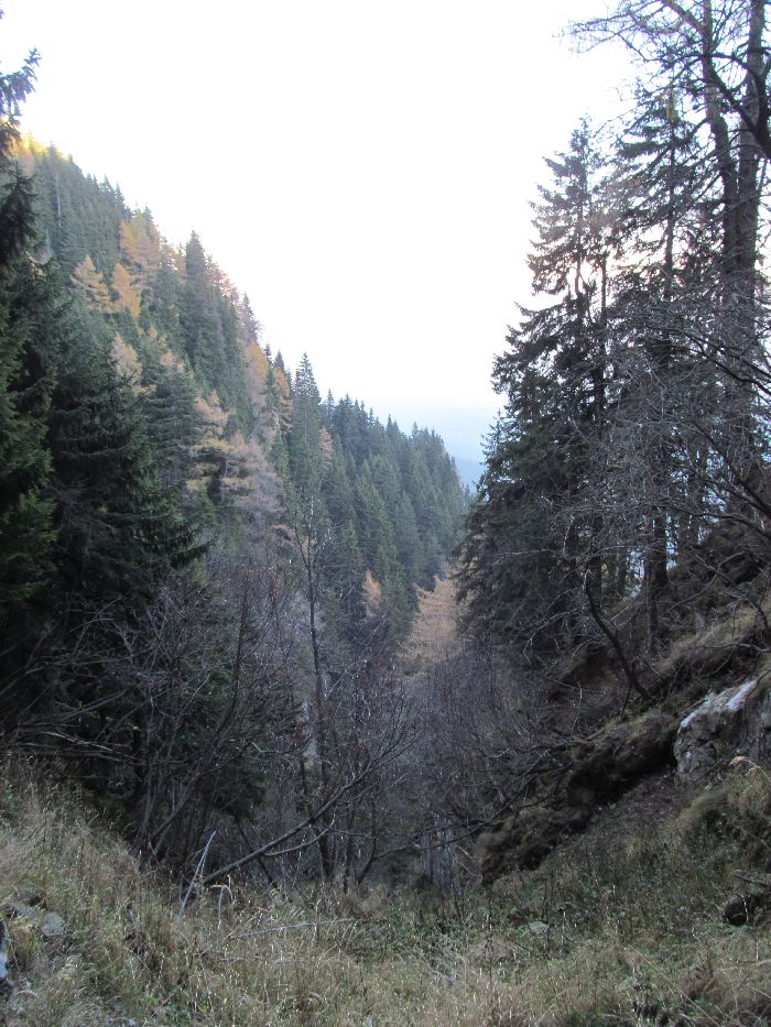 /Vanturis/img_4595.jpg
