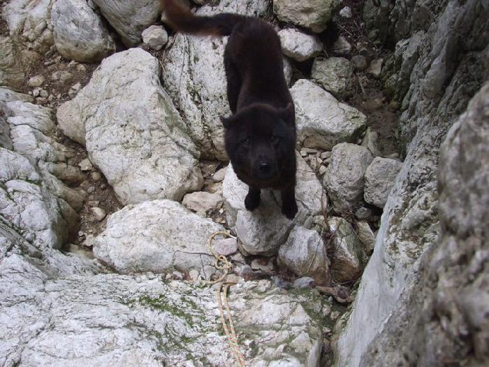 /catel/dscf9285.jpg