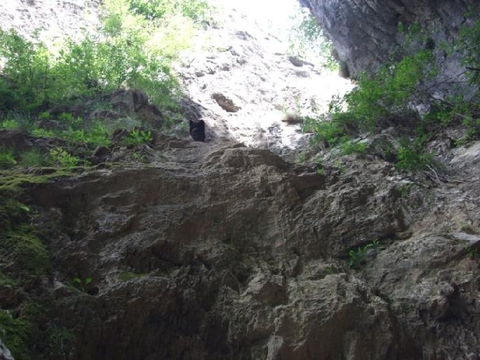 /catel/dscf9305.jpg