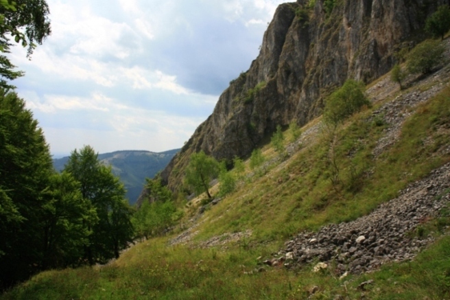 /piatra/_mg_0174.jpg