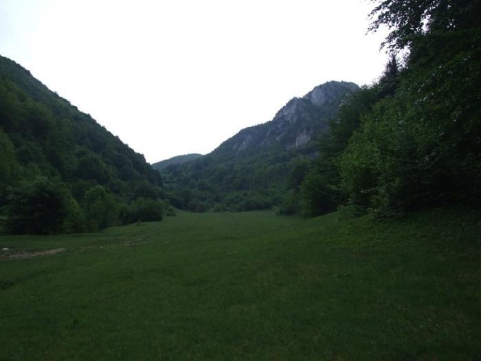 /piatra/dscf9118.jpg
