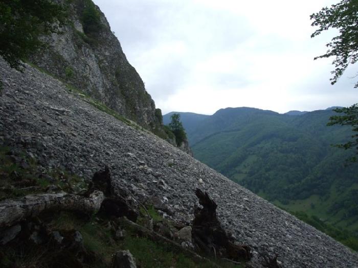 /piatra/dscf9130.jpg