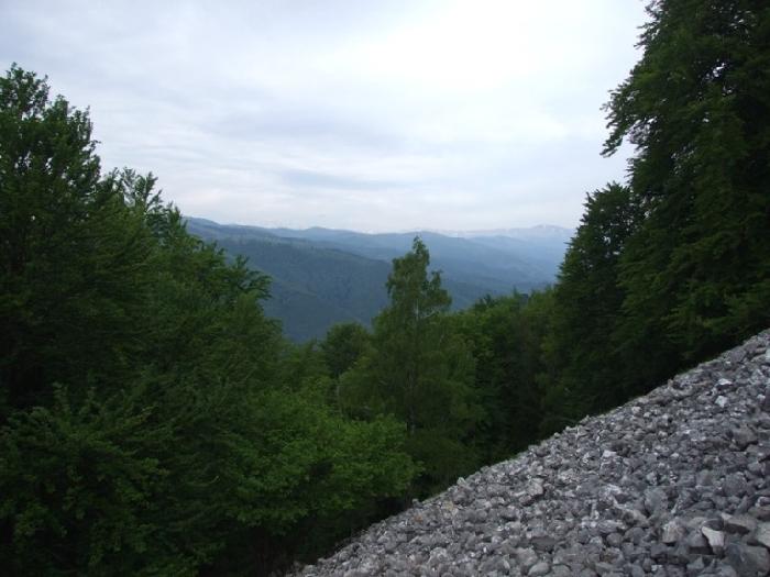 /piatra/dscf9138.jpg