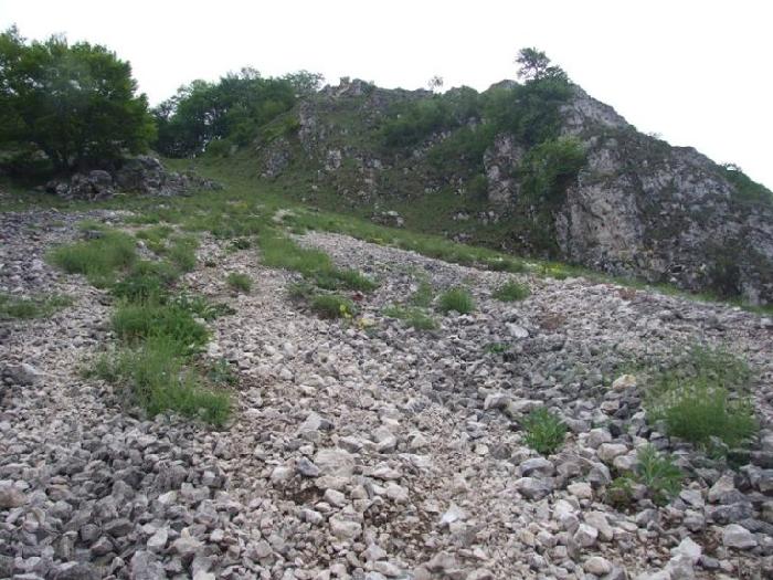 /piatra/dscf9139.jpg