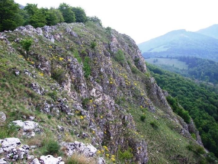 /piatra/dscf9157.jpg