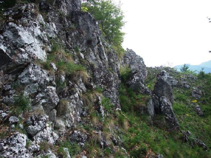 /piatra/dscf9166.jpg