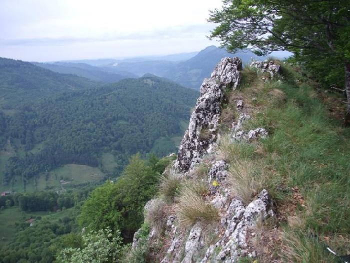 /piatra/dscf9170.jpg
