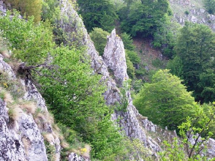 /piatra/dscf9176.jpg