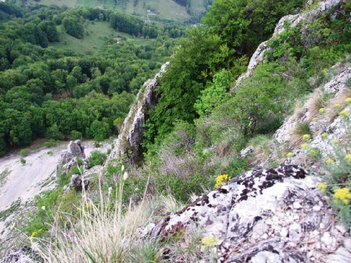 /piatra/dscf9179.jpg