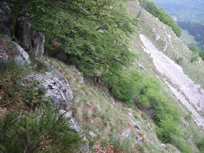 /piatra/dscf9198.jpg