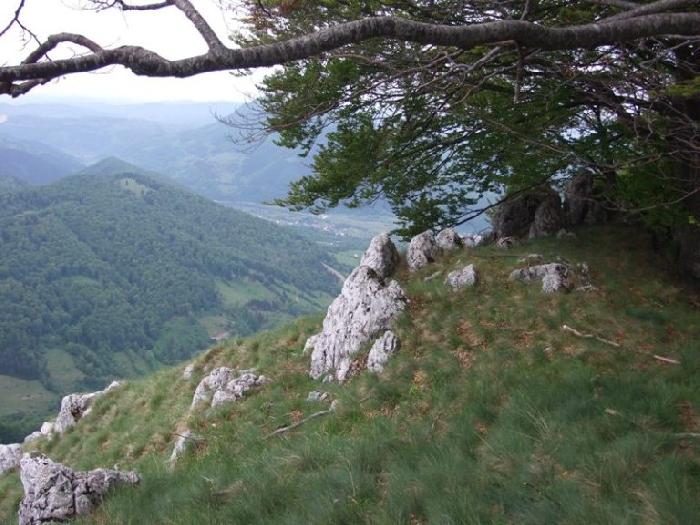 /piatra/dscf9206.jpg