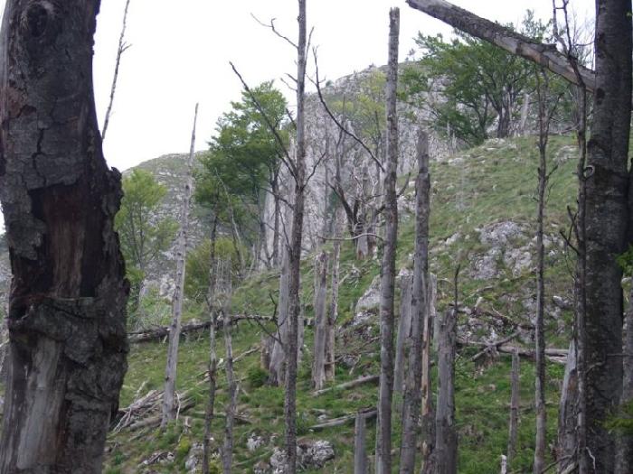 /piatra/dscf9209.jpg