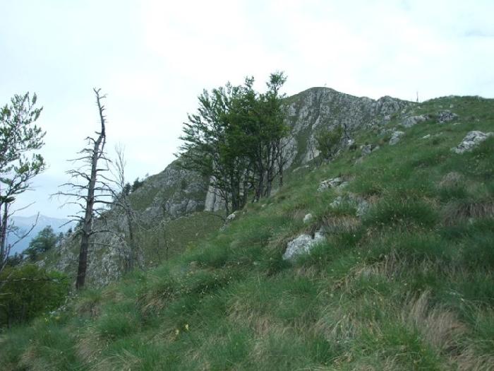 /piatra/dscf9215.jpg