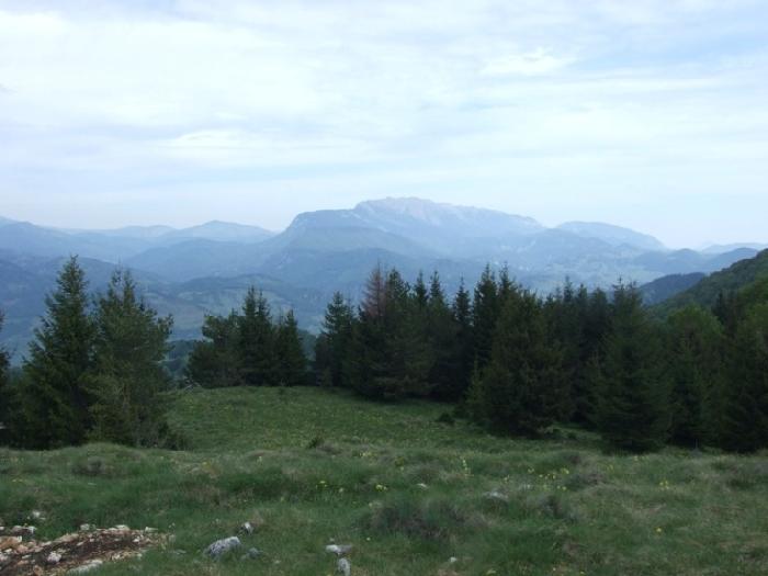 /piatra/dscf9230.jpg