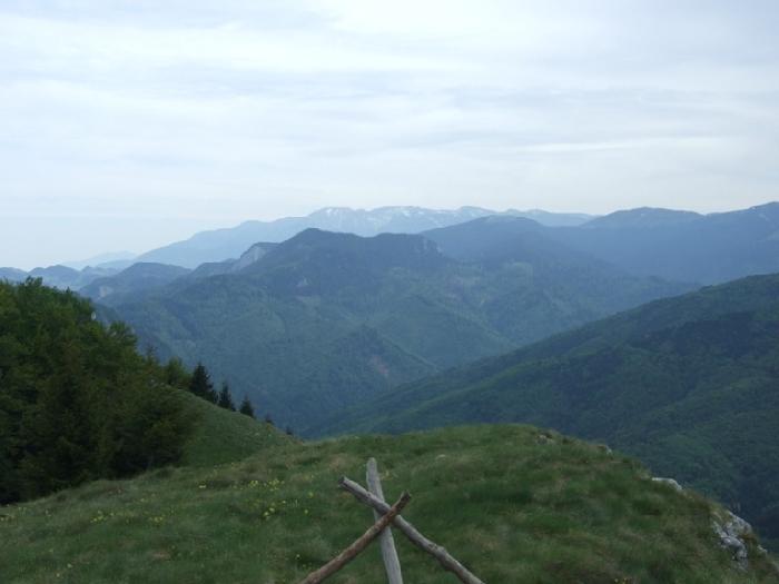 /piatra/dscf9231.jpg