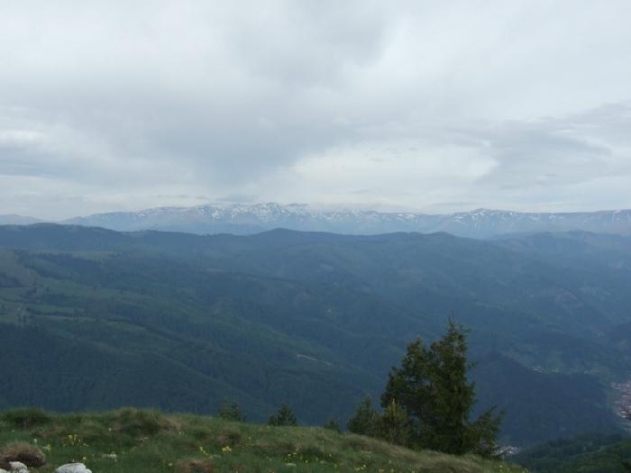 /piatra/dscf9234.jpg