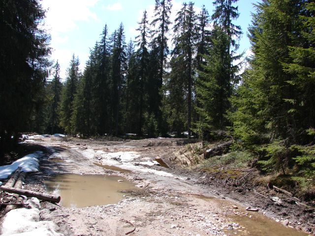 vremea