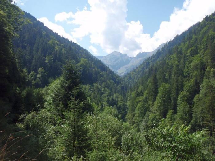 /Fagaras/p8140047.jpg