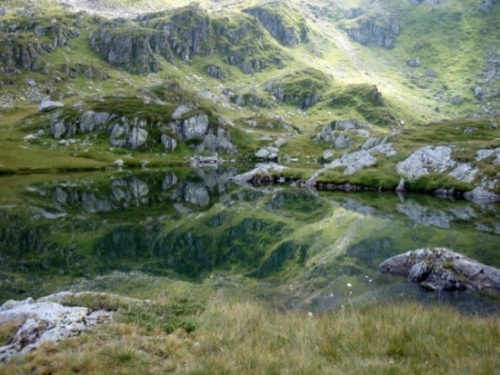 /Fagaras/p8150106.jpg