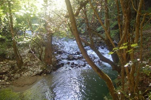 /Cheile/dsc_0548.jpg