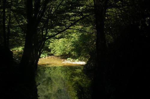 /Cheile/dsc_0589.jpg