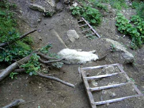 /Padis/bscap0087.jpg