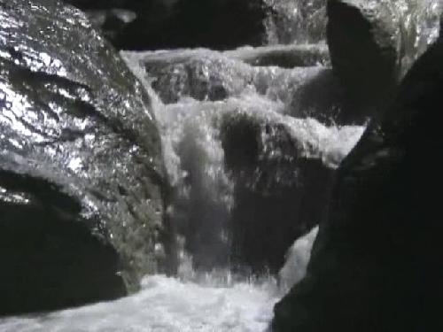 /Padis/bscap0100.jpg