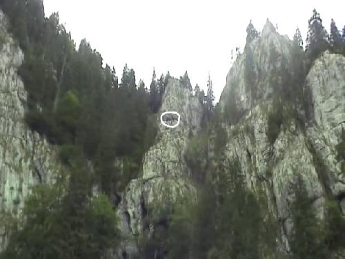 /Padis/bscap0107.jpg