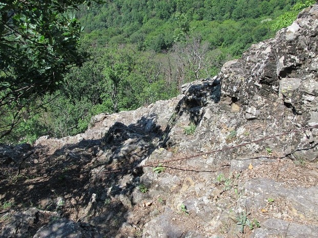 /Cozia/cozia_iunie_2013_081.jpg