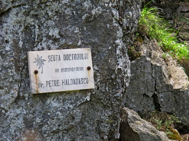 /Cozia/cozia_iunie_2013_096.jpg