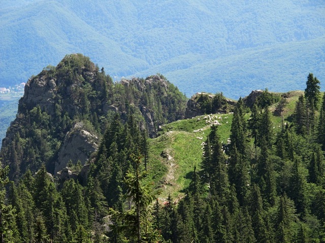 /Cozia/cozia_iunie_2013_139.jpg