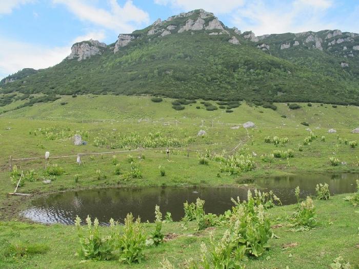 /Doamnele2015/bucegi_2015_557.jpg