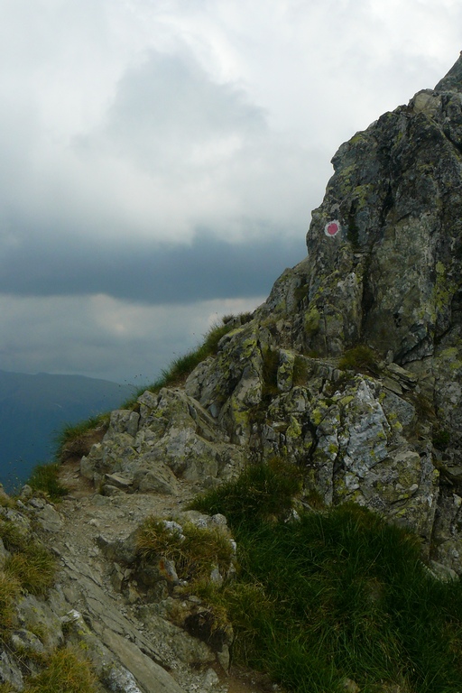 /Mold2012/spre_vistea_2.jpg