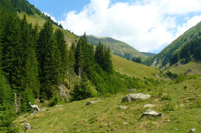 /Mold2012/valea_in_urcare.jpg