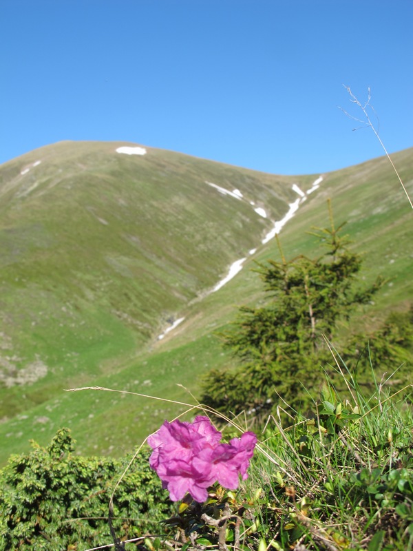 /Suru2015/img_9078.jpg