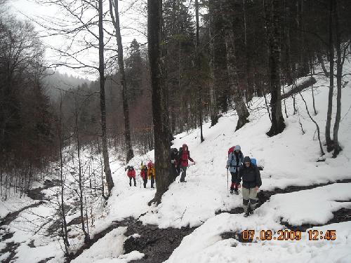 Carpati.org