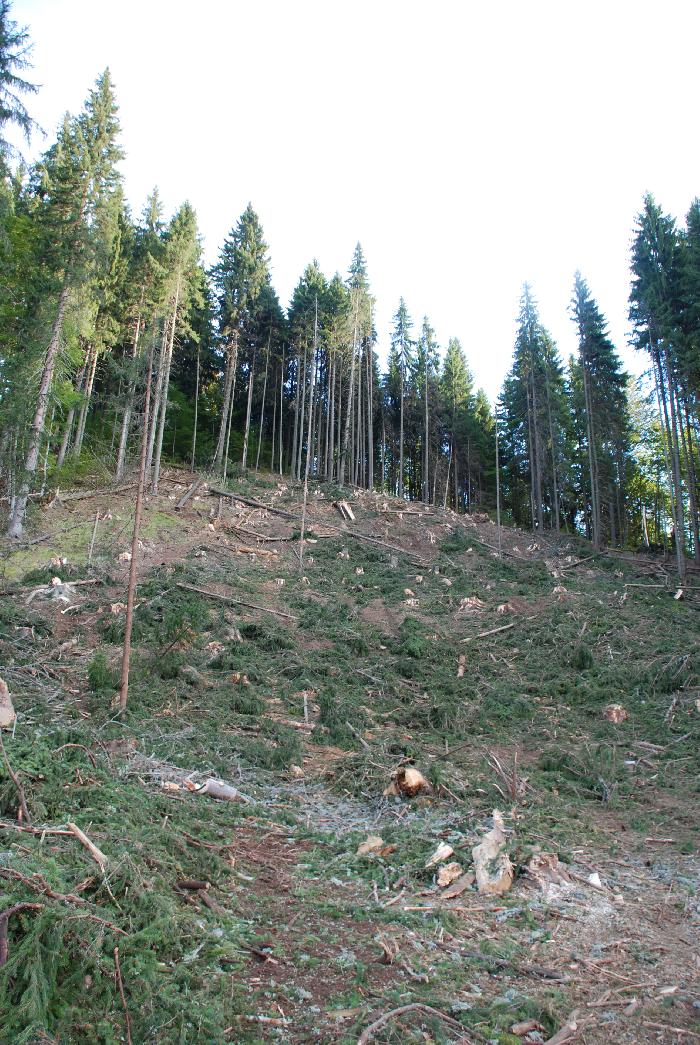 /Valea/dsc_0040.jpg