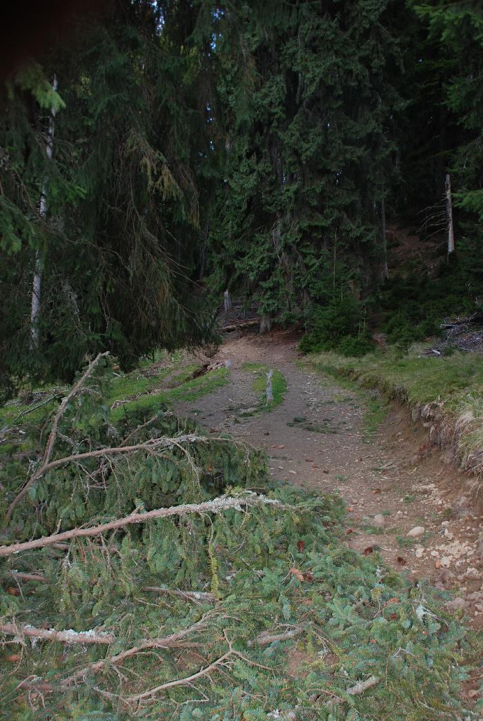 /Valea/dsc_0047.jpg