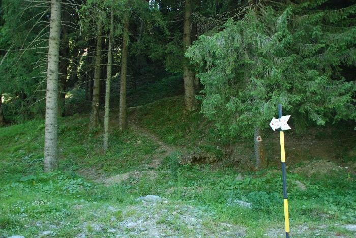/Valea/dsc_0214.jpg