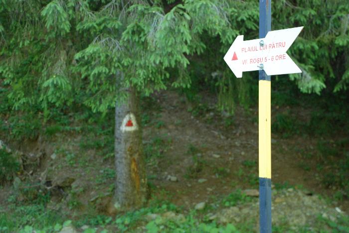 /Valea/dsc_0217.jpg