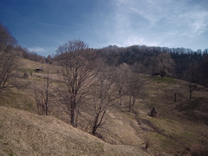 /Vanturarita_03_11/dsc_0003.jpg