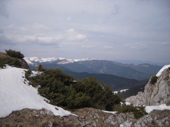 /Vanturarita_03_11/dsc_0007.jpg